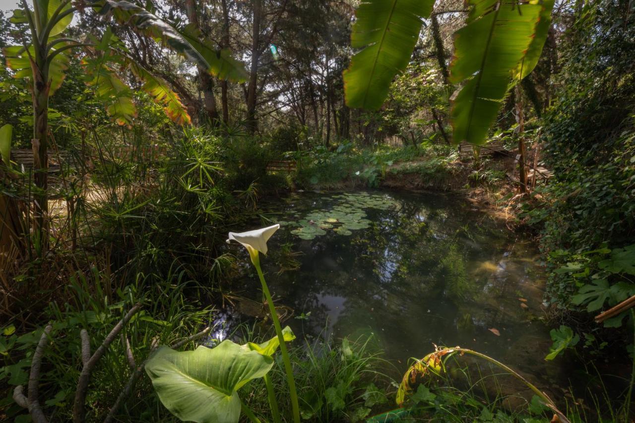 Villa Rene Koskinou  ภายนอก รูปภาพ