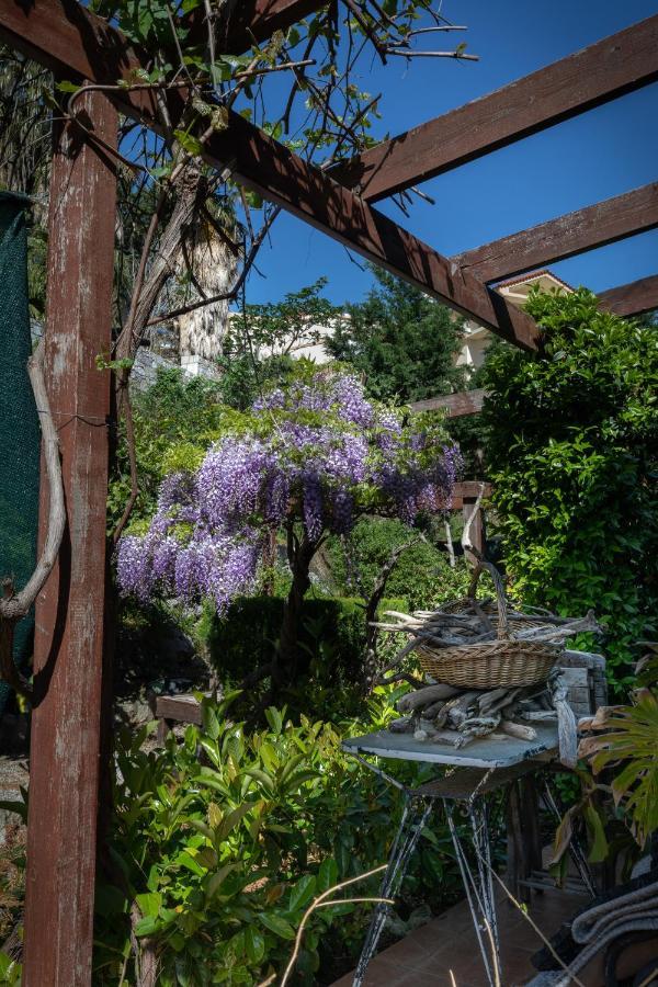 Villa Rene Koskinou  ภายนอก รูปภาพ